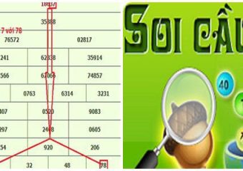 soi cau bach thu mien bac cau chay 3 ngay